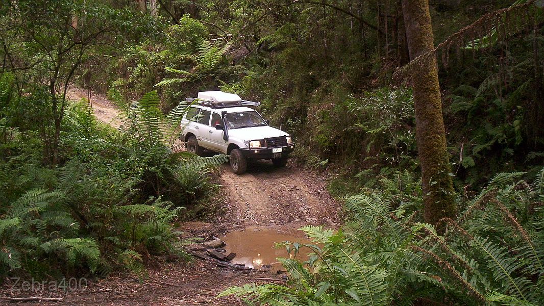 22-Compass Rose heads for a water crossing.jpg